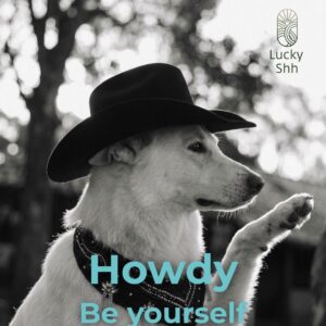Festival western cowboy en cowgirl hoed zwart